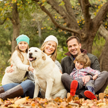 Young family with their dog playing in the woods