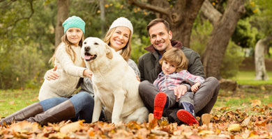 Young family with their dog playing in the woods